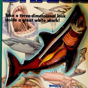 Shark book
